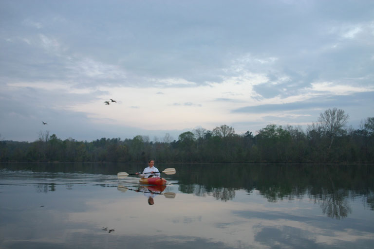 geese flying behind Lynda