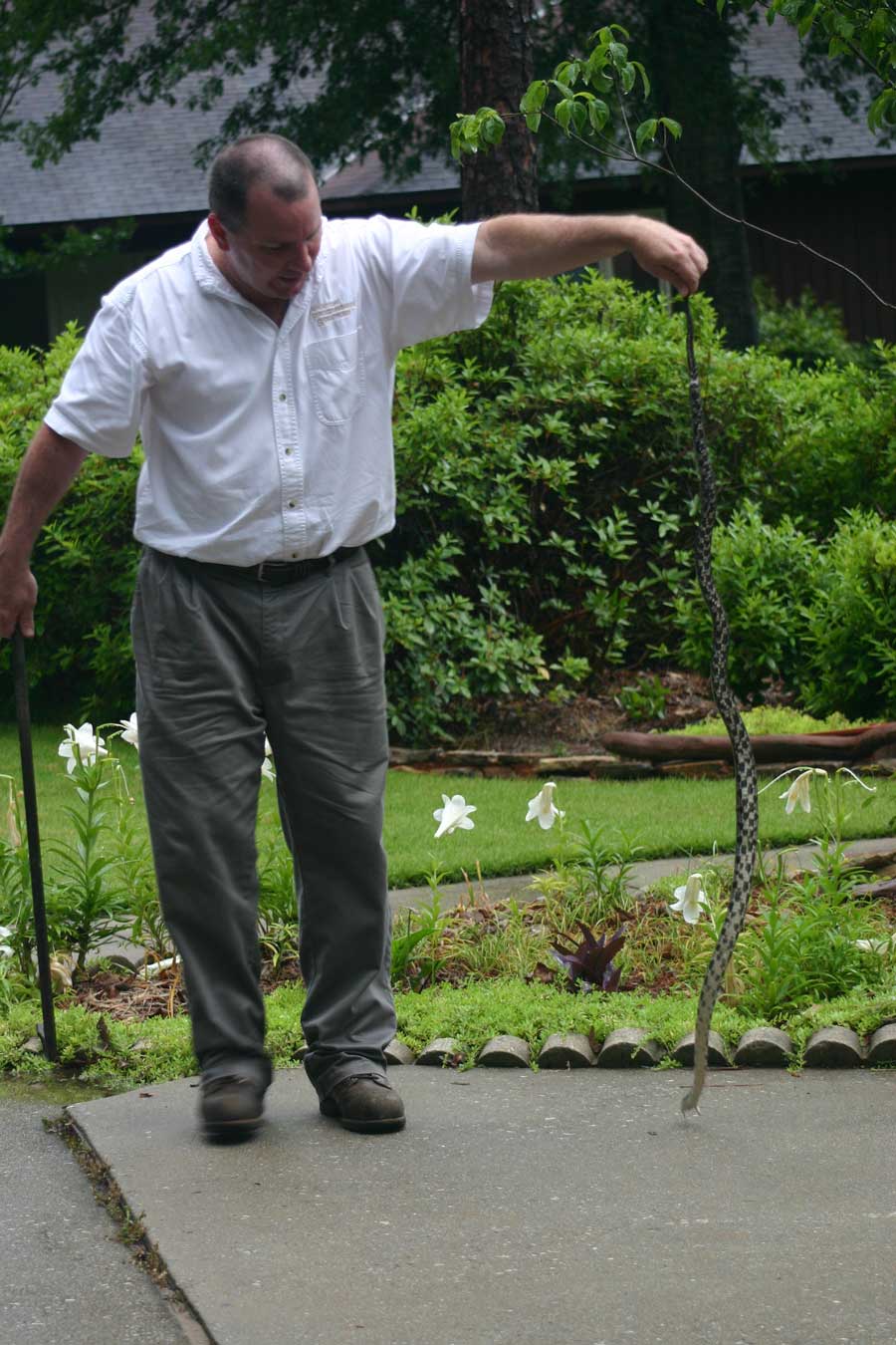 jim holding the snake by its tail