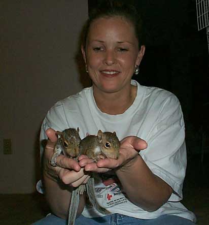 Lynda holding two juvenile squirrels.